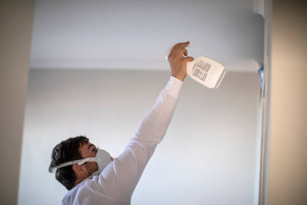Trusted Antlers, OK Mold Removal Experts